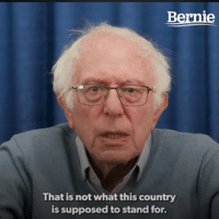  | Bernie | MR Online